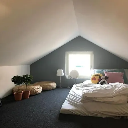 Feriehus Sommerhus I Vakre Asenfjord. Brygge, Turmuligheter Levanger
